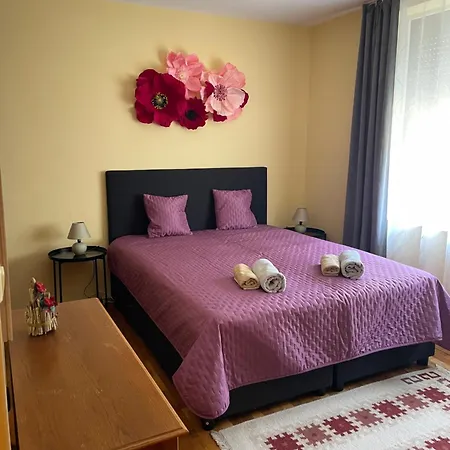 цветно * Varna