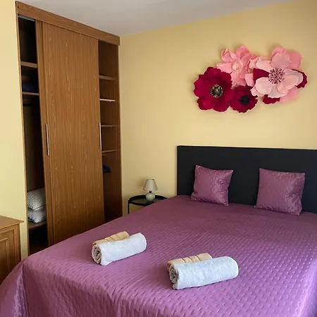 цветно 公寓 *